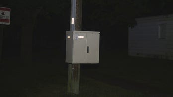 14-year-old girl killed by live wire in Michigan