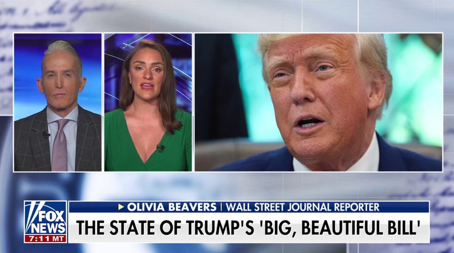 Here are the 'key GOP blocks' to look out for on Trump's 'big, beautiful bill,' says Wall Street Journal reporter