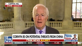 Every member of Congress has our national security interest: Sen. John Cornyn