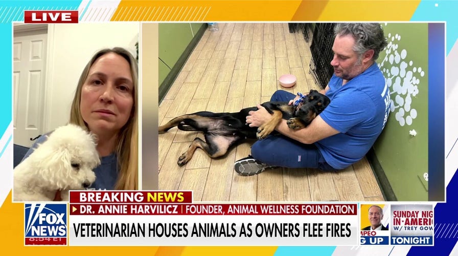 Veterinarian houses abandoned animals as wildfires rage on 