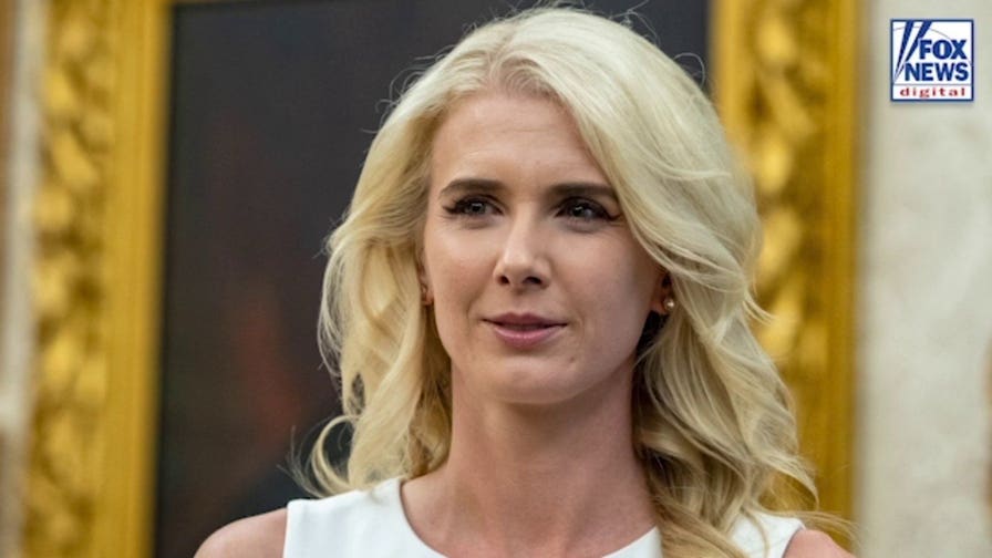 CNN, MS NOW double down on Natalie Harp coverage