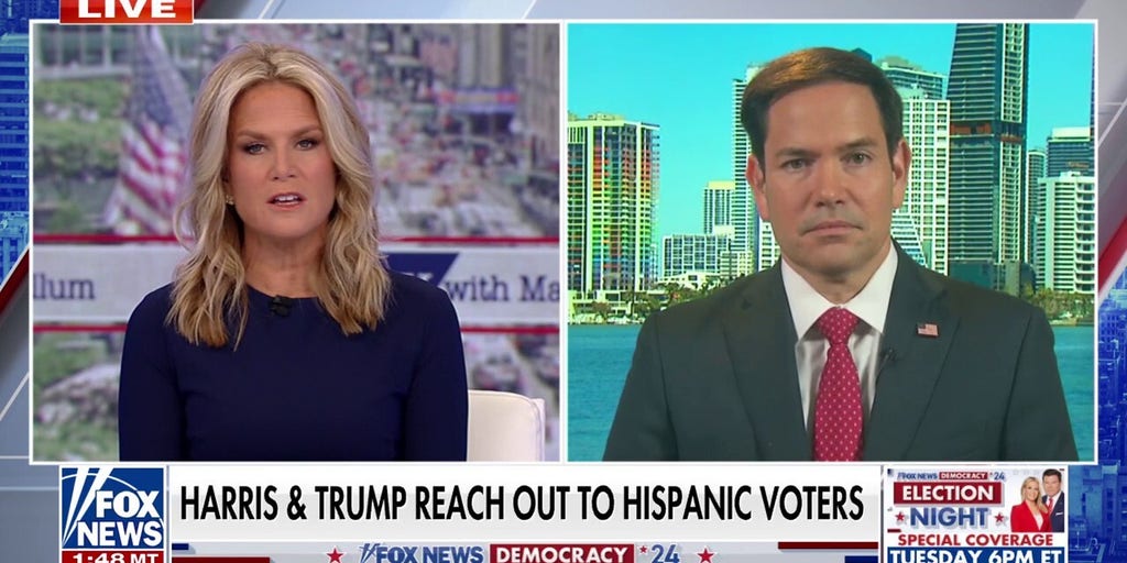 Marco Rubio declares a vote for Harris is a vote for 'poverty, insecurity and war'