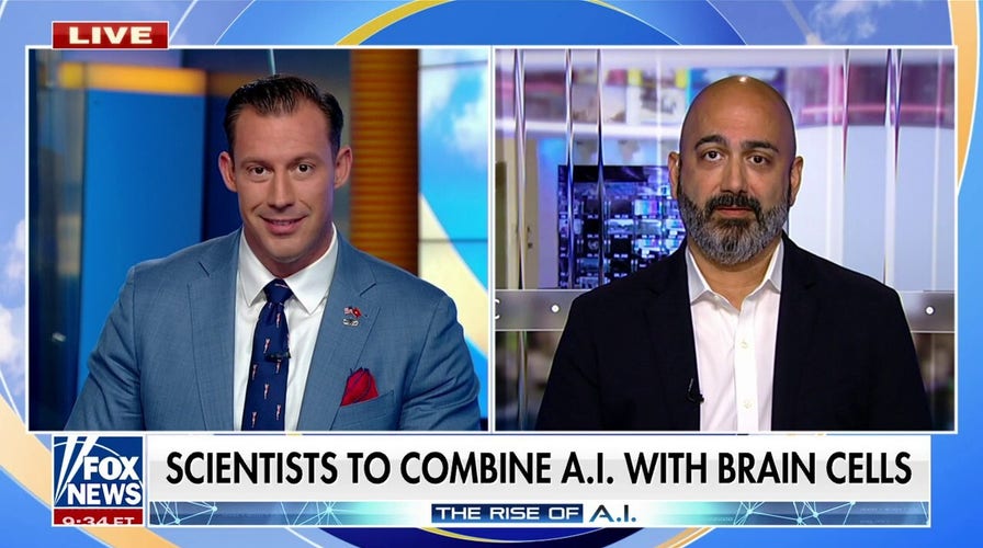 Researchers merging AI with human brain cells will be a ‘game changer’: Sultan Meghji