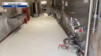 Arizona dairy farmers forced to dump milk during coronavirus pandemic