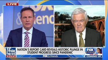 Newt Gingrich expecting GOP midterm election 'tsunami', says it could be biggest Republican win since 1920