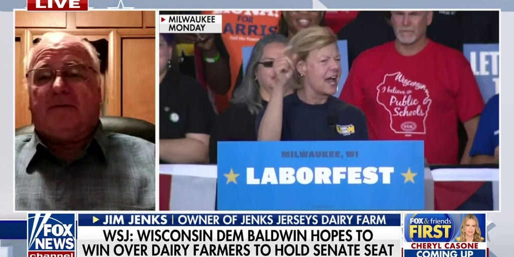 Wisconsin Democrat Tammy Baldwin called out for 'extremely unappealing' plea for dairy farmer support