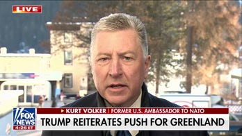 Former NATO ambassador pushes back on US ‘ownership’ of Greenland