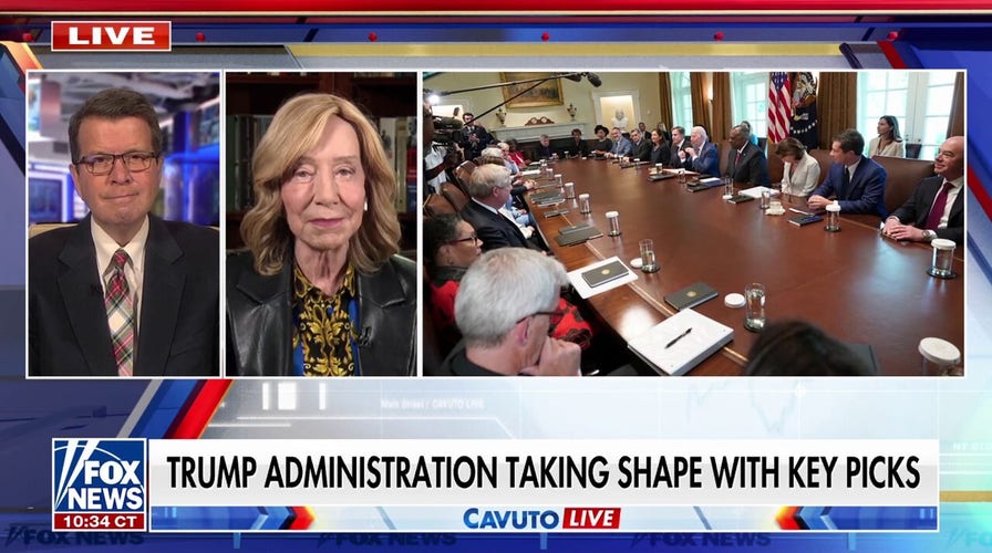 Trump Cabinet takes shape: Historian reacts to key picks