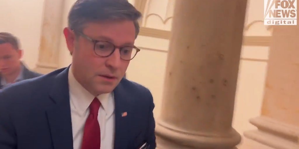 Mike Johnson speaks out on Senate deal to reopen government