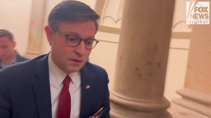 Mike Johnson speaks out on Senate deal to reopen government