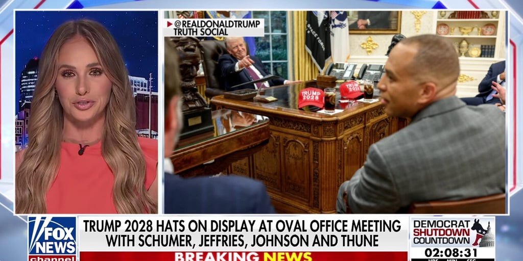 Trump knows 'how to have fun' while running the country, Tomi Lahren says