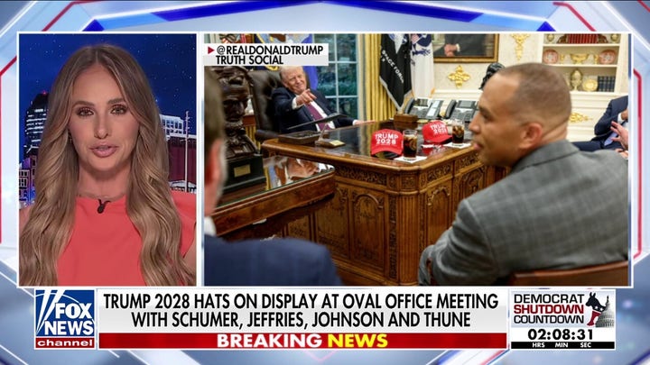 Trump knows 'how to have fun' while running the country, Tomi Lahren says