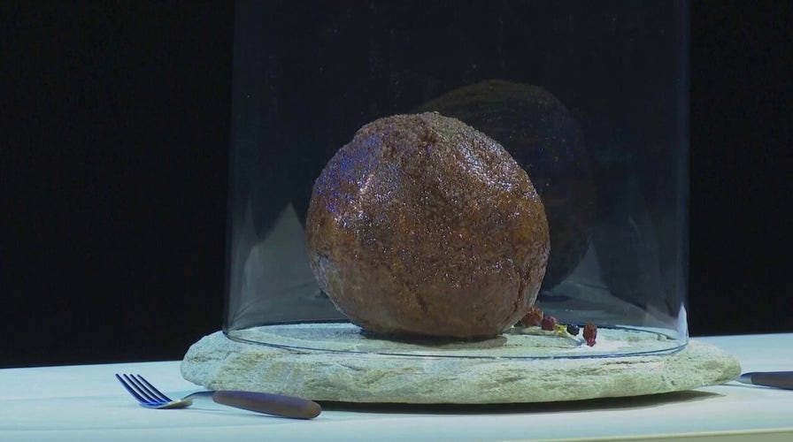 Dutch researchers make giant meatball using mammoth DNA