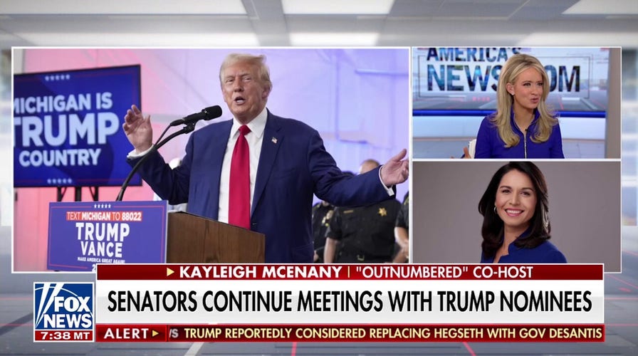 McEnany highlights Dems' silence on Trump nominees: 'Shocking'