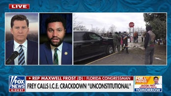 Dem lawmaker argues Renee Good deserved 'due process,' calls ICE crackdown 'unconstitutional'