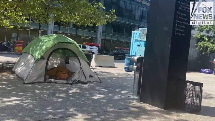Video footage shows DC encampments Trump vowed to clean up