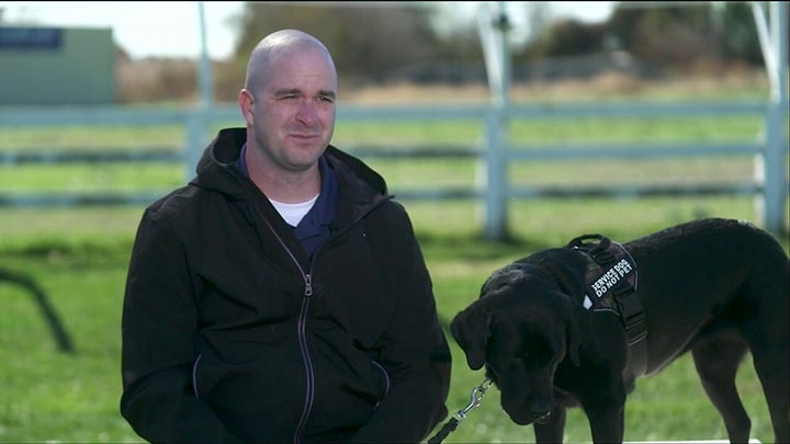 Service dogs give veterans a ‘purpose’ to get up every day: Buddy Niner