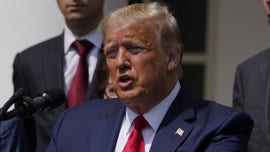 David Limbaugh: Is there anything Trump's haters won't blame on him?