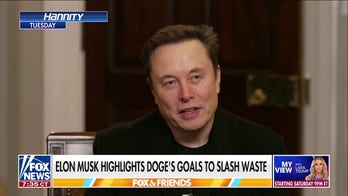 Elon Musk responds to attacks from the left: 'What they are doing is unconstitutional'