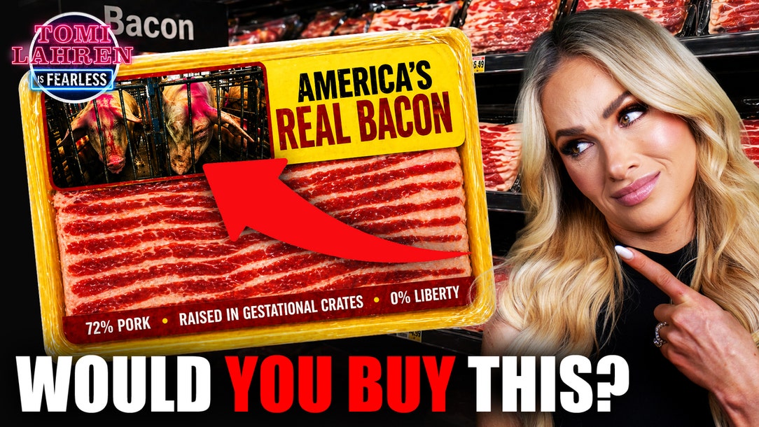 Farm Bill Fight: Tomi Lahren Exposes the “Save Our Bacon Act” Lie | Tomi Lahren Is Fearless