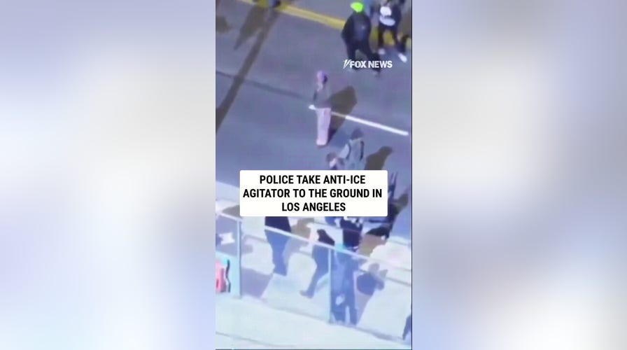 Police instrumentality     anti-ICE agitator TO THE GROUND successful  Los Angeles