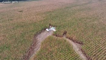 Skydivers witness small plane crash, jump from aircraft to rush to victims