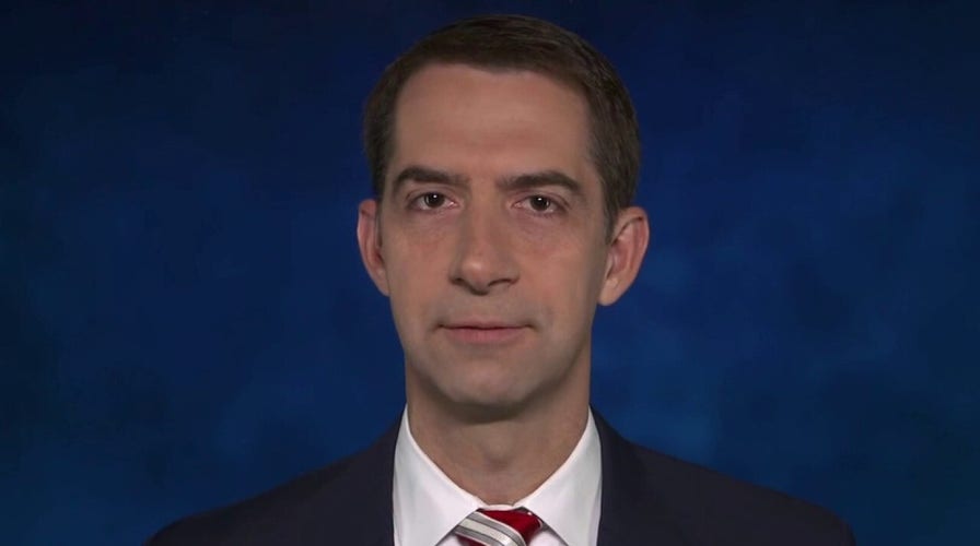 'Safe to say Joe Biden knew' about Russia hoax: Sen. Cotton