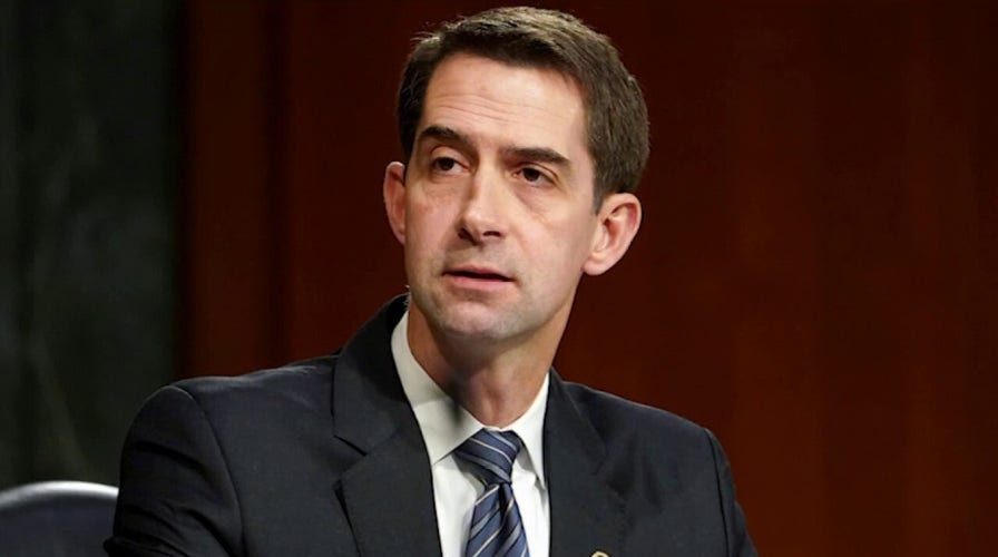 Tom Cotton: Biden is sticking a 'kick me' sign on Uncle Sam's back over UN probe