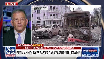 Putin declares Easter Day ceasefire in Ukraine