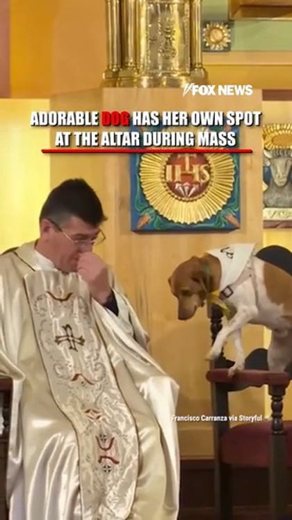 HOLY DOG: A priest's dog joins him during Mass in Argentina