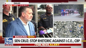 Ted Cruz condemns political violence after ICE shooting: 'This must stop'