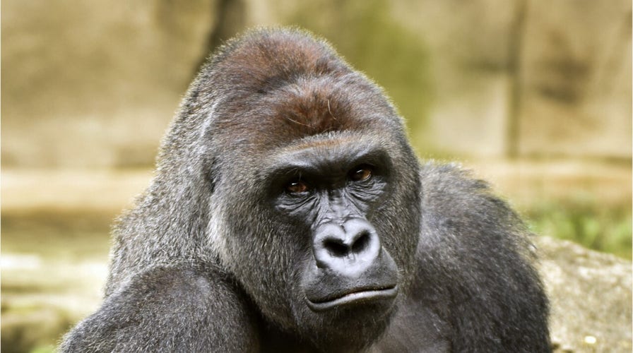 This Day In History: May 28