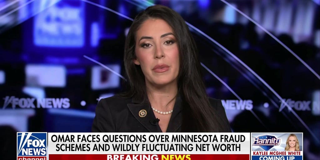 Alleged Minnesota fraud is a ‘small example’ of national trend, GOP lawmaker says