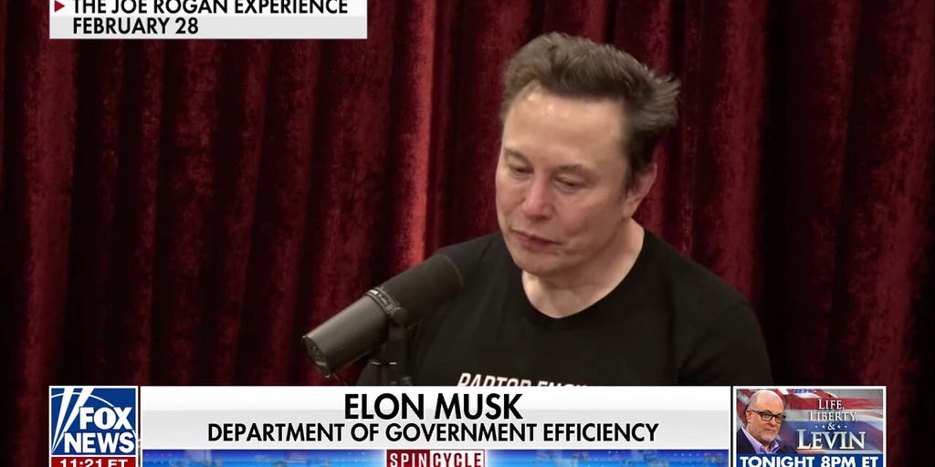 Expert backs DOGE's cutting of 'egregious' government spending: 'It's criminal some of the things they do'