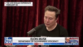 Expert backs DOGE's cutting of 'egregious' government spending: 'It's criminal some of the things they do' - Fox News