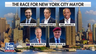 Mamdani has yet to secure endorsements of top Democratic officials