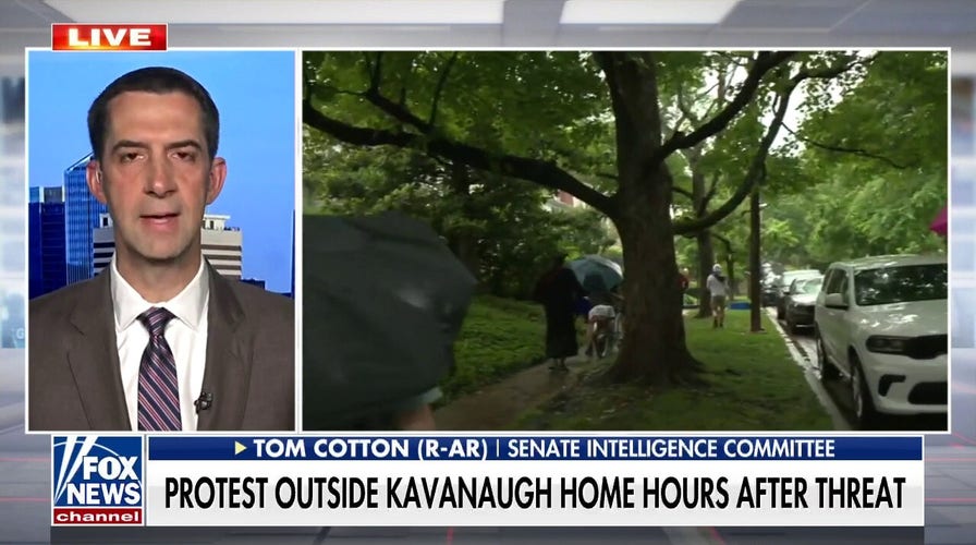 Tom Cotton: The reason migrant caravans keep coming is because Biden invited them
