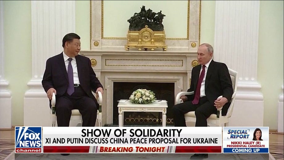 The reality behind bromance between Russia's Putin and China's Xi
