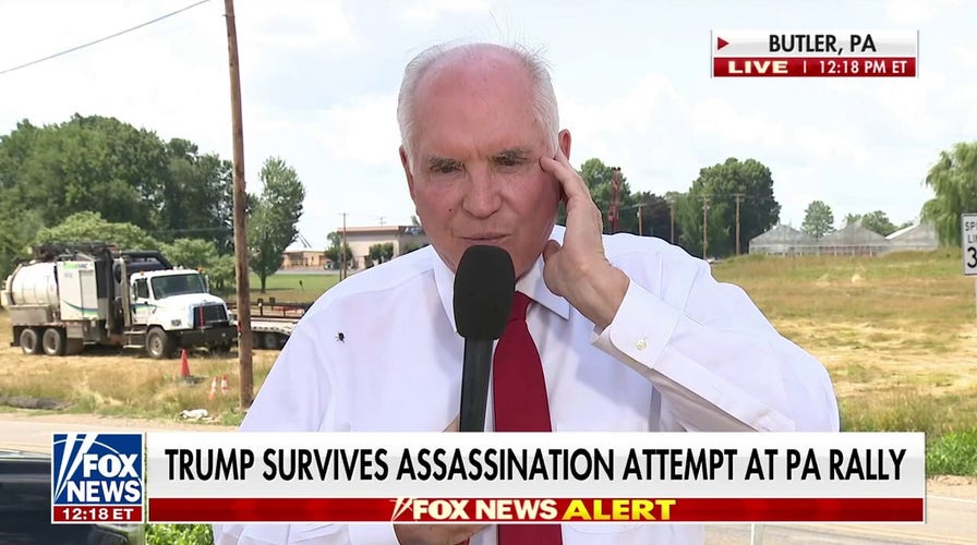 ‘What has the country come to?’: Mike Kelly