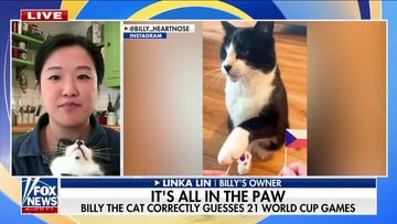 'Psychic cat' Billy predicts World Cup winners