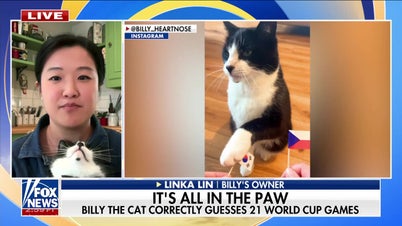 'Psychic cat' Billy predicts World Cup winners