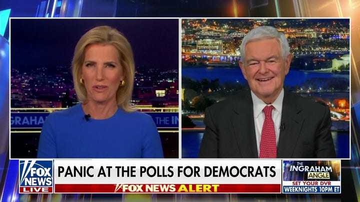 Newt Gingrich: Nothing Dems are doing is working