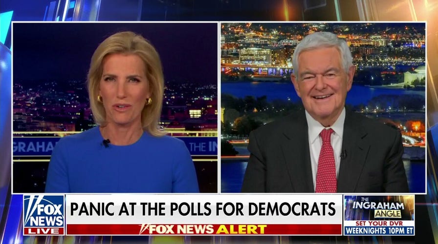 Newt Gingrich: Nothing Dems are doing is working