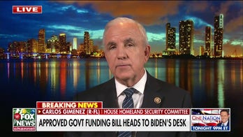  Shutting the government down 'is never a good idea,' GOP rep says