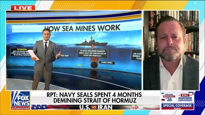 Navy SEALs reportedly spend four months de-mining Strait of Hormuz