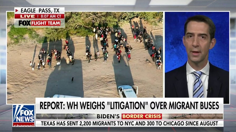 Sen. Tom Cotton: 'Joe Biden has presided over a slow-motion invasion of our country'