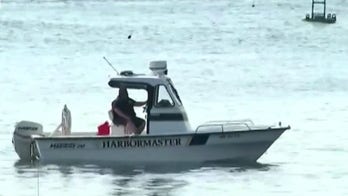 Shark expert on deadly attacks in Maine