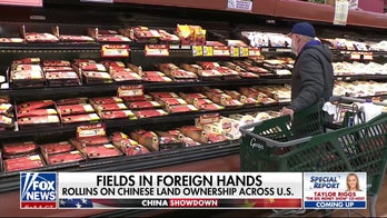 Agriculture secretary raises concerns over Chinese ownership of US farmland