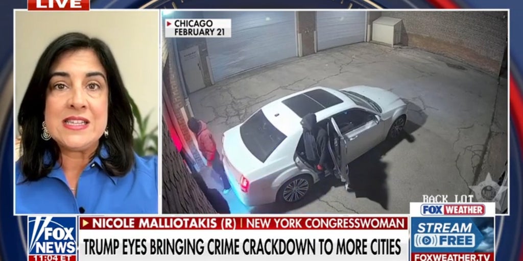Rep. Malliotakis urges Democrats to ‘work with Trump’ on stopping crime in cities