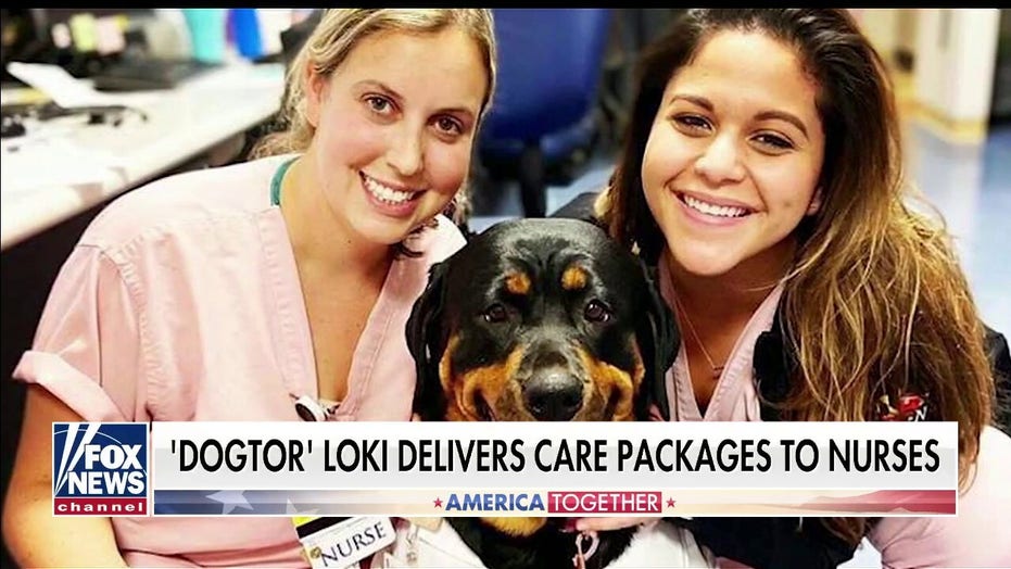 dog packages